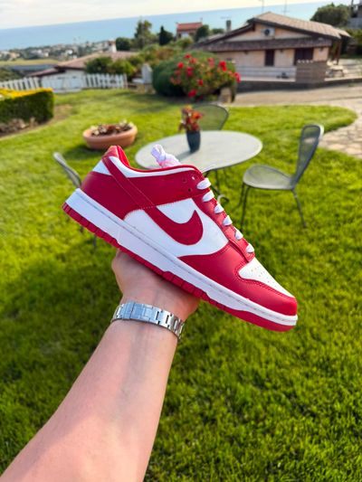 dunk low red 44